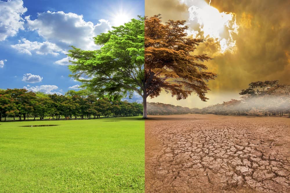 Cambio Climático 1