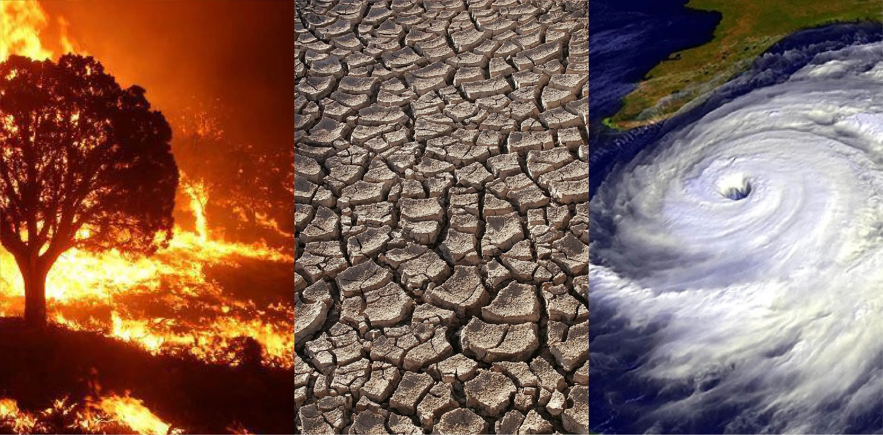 Consecuencias del Cambio Climático